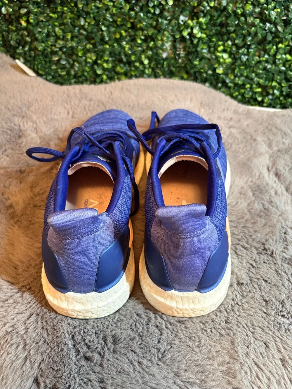 adidas Women’s Purple Ultraboosts Size 10